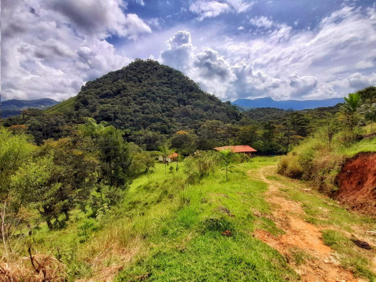 La Perla Negra - Black Pearl Eco Hostel San Rafael  Ngoại thất bức ảnh