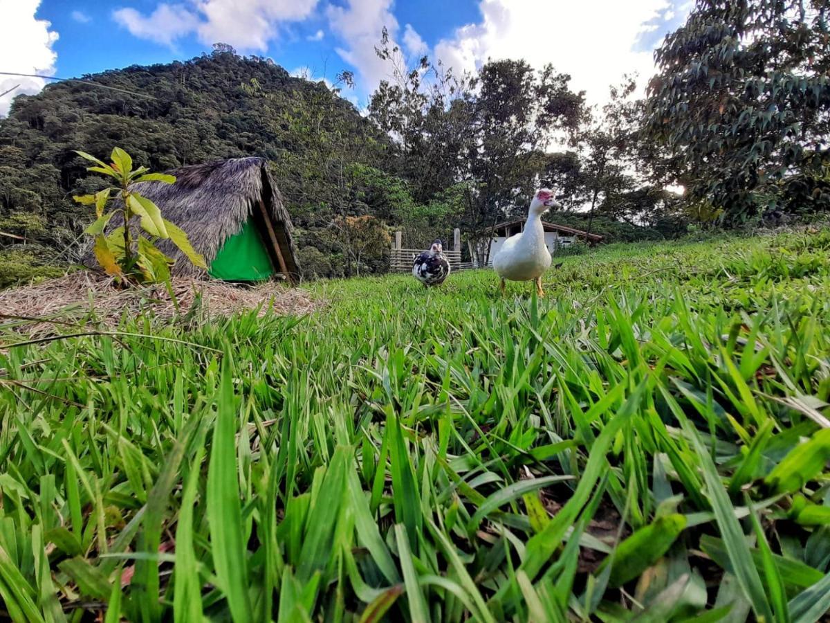 La Perla Negra - Black Pearl Eco Hostel San Rafael  Ngoại thất bức ảnh