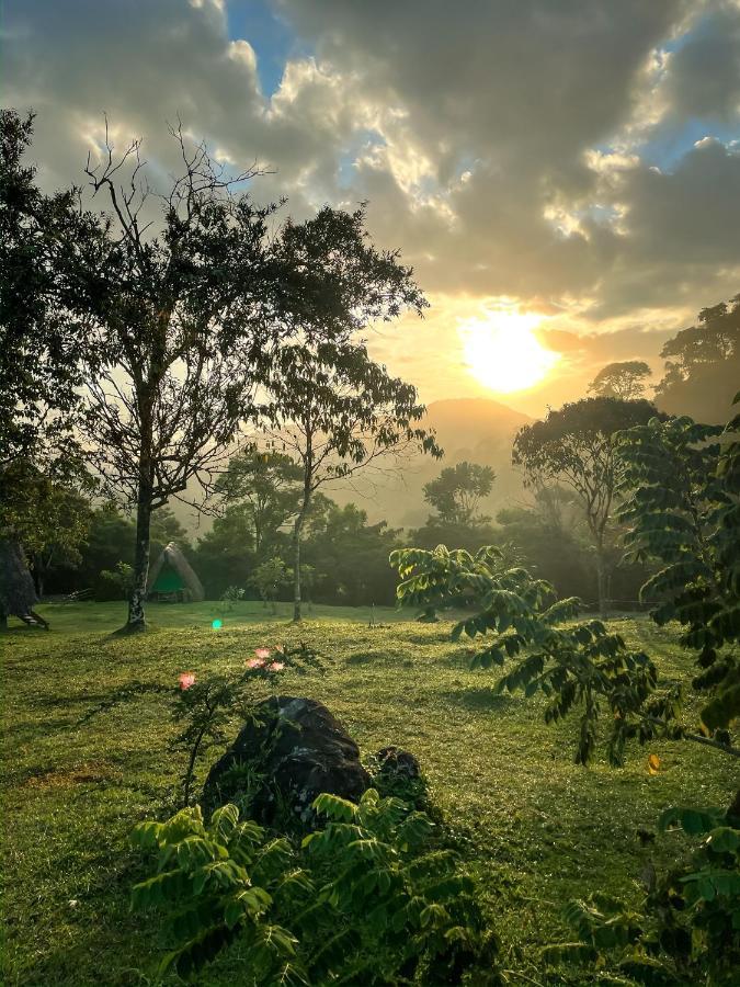 La Perla Negra - Black Pearl Eco Hostel San Rafael  Ngoại thất bức ảnh