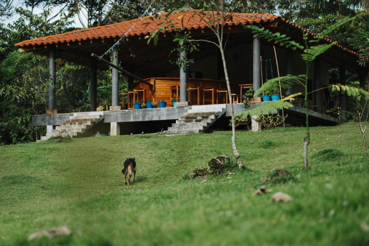 La Perla Negra - Black Pearl Eco Hostel San Rafael  Ngoại thất bức ảnh