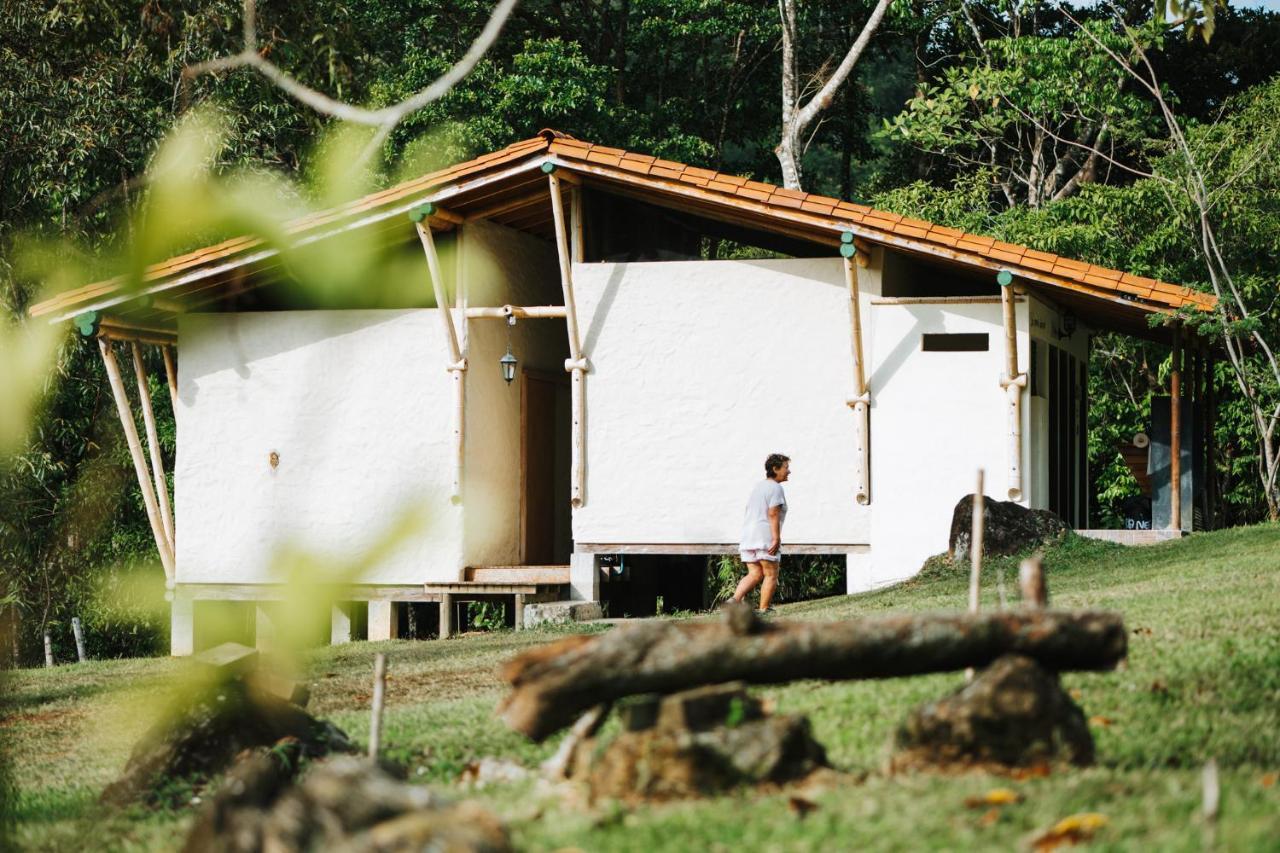 La Perla Negra - Black Pearl Eco Hostel San Rafael  Ngoại thất bức ảnh