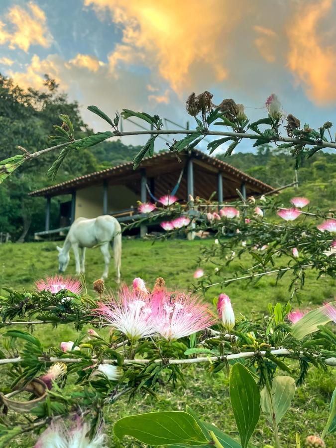 La Perla Negra - Black Pearl Eco Hostel San Rafael  Ngoại thất bức ảnh