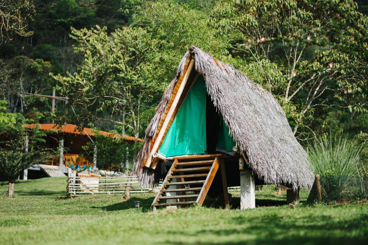 La Perla Negra - Black Pearl Eco Hostel San Rafael  Ngoại thất bức ảnh