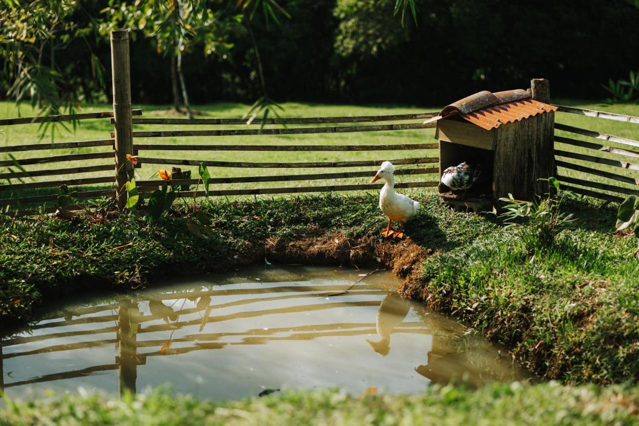 La Perla Negra - Black Pearl Eco Hostel San Rafael  Ngoại thất bức ảnh