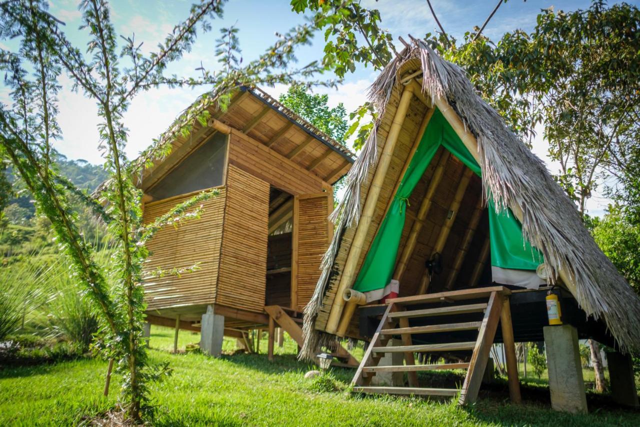 La Perla Negra - Black Pearl Eco Hostel San Rafael  Ngoại thất bức ảnh