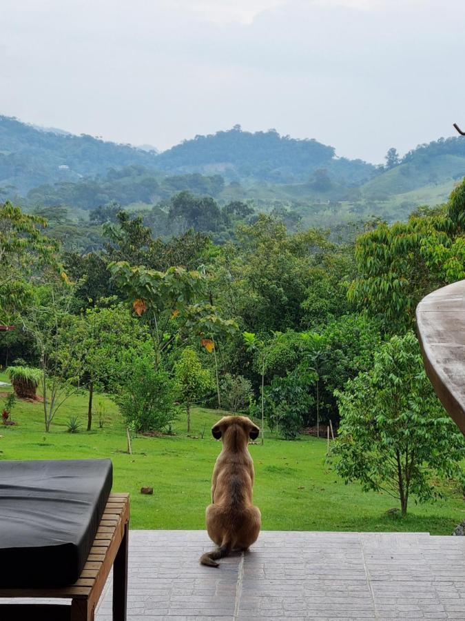 La Perla Negra - Black Pearl Eco Hostel San Rafael  Ngoại thất bức ảnh