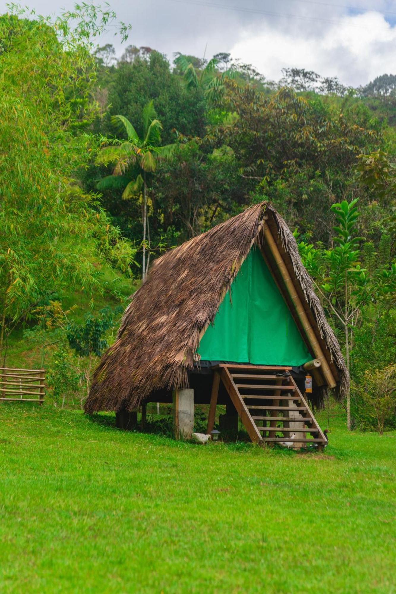 La Perla Negra - Black Pearl Eco Hostel San Rafael  Ngoại thất bức ảnh