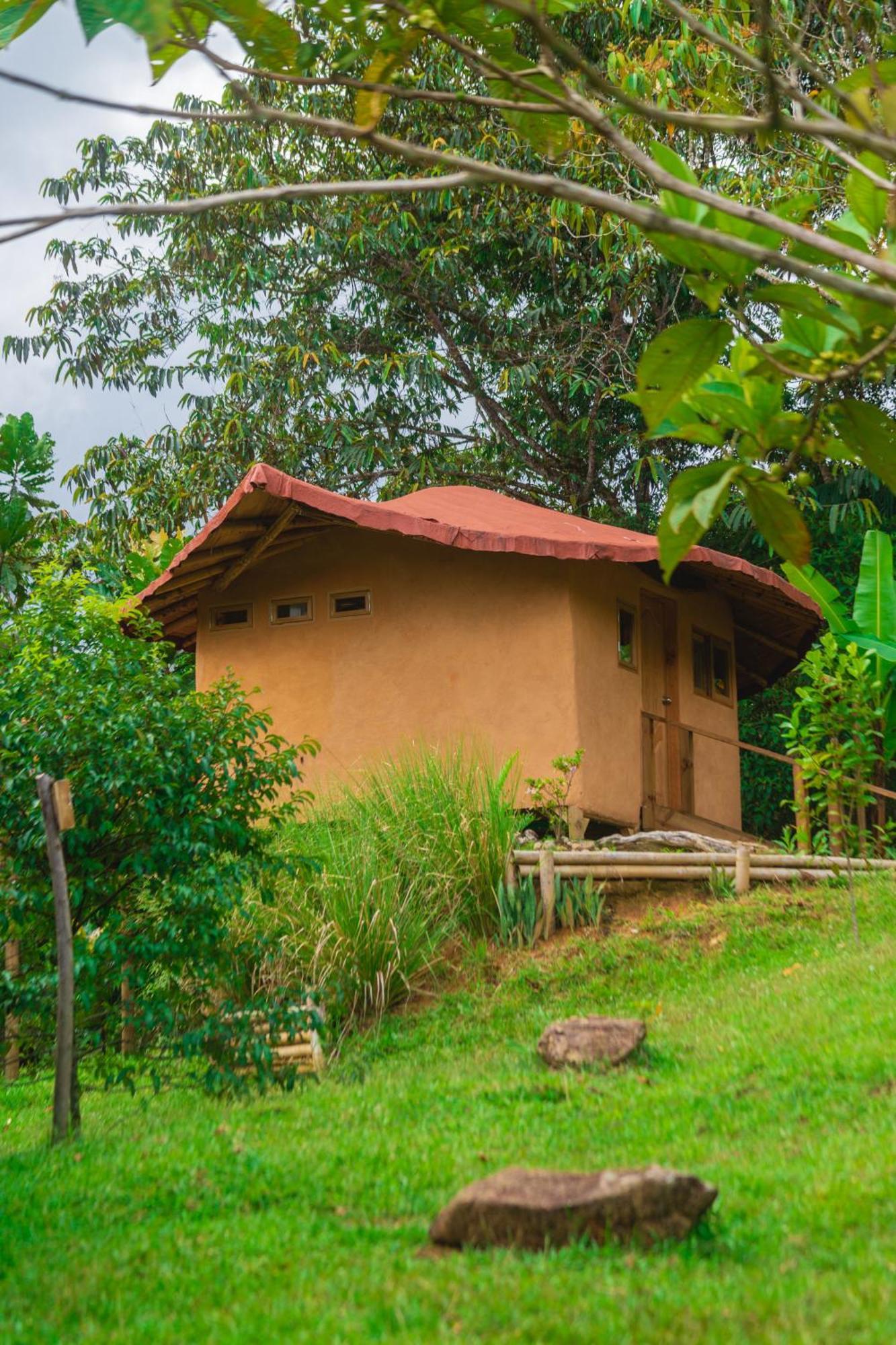 La Perla Negra - Black Pearl Eco Hostel San Rafael  Ngoại thất bức ảnh